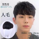 部分ウィッグ メンズウィッグ かつら ヘアピース メンズ 人毛 ナチュラルブラック ポイントウィッグ 付け毛 脱毛症 薄毛 白髪隠れ トップカバー 普段使い