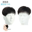 部分ウィッグ メンズウィッグ かつら ヘアピース ポイントウィッグ 付け毛 脱毛症 薄毛 白髪隠れ トップカバー 普段使い