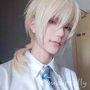 ウィッグ フルウィッグ ロングウィッグ ロングヘア かつら 自然 前髪あり コスプレ 男装 おしゃれ かっこいい 可愛い 耐熱ウィッグ 小顔効果抜群 コスチュー...