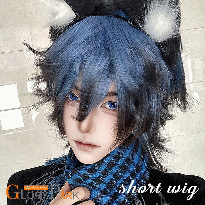 ウィッグ ショート ウルフ 自然 フルウィッグ イケメン 男装 メッシュ 青 ブルー 黒髪 ブラック ...