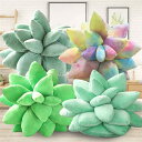 ぬいぐるみ Succulent pillow 抱き枕 抱きまくら 癒しグッズ プレゼント ギフト お昼寝枕 かわいい インテリア 子供 おもちゃ おもしろ PP綿 誕生日 肌触りいい 洗える 彼女に 柔らか 贈り物