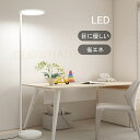 フロアライト LED スタンドライト 学習 読書 在宅ワーク オフィス リビング 書斎 目に優しい 防眩光 ブルーライトカット RGO Ra98 高演色 広照射 子供 近視予防 疲れ目対策 インテリア照明 読書灯 角度調整可能 照明 色彩再現