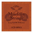 ARIA AGS-100MA Mandolin マンドリン弦(2)