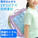 ランドセル リュック 背中 冷やす ひんやり クール 冷却 クールパッド アイス シート 暑さ対策 屋外 子供 大人 通勤 通学 おしゃれ キッズ 小学生 山登...