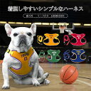 【送料無料】犬用 ハーネス 小型犬 中型犬 大型犬 犬具 胴輪 リードセット セット 可愛い 小型 大型 中型 胴輪 首輪 装着簡単 ベルト調節可 反射 通気性...