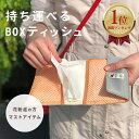 《公式》【ポイント5倍・送料無料】ティッシュ & マスクポーチ ティッシュケース 花粉症 対策 ボックスティッシュ 持ち運び マスクケース ケース 雑貨 トラベ...
