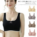 送料無料 ノンワイヤー ブラジャー シームレス スポーツブラ アンダーウェア ストレスフリー ナイトブラ ノンワイヤー 育乳ブラ バストアップ ブラジャー 寝るブラ 夜ブラ 下着 インナー 薄手 通気性 ストレッチ シンプル 無地 春新作