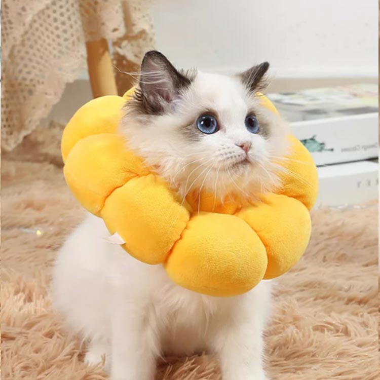 かわいい 軽量 エリザベスカラー 猫 ケガ 爪切り 傷の保護 ソフト 介護 去勢 犬 避...