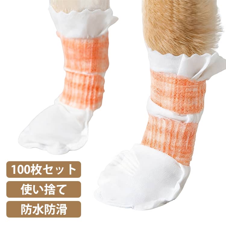 100�祻�å� �Ȥ��Τ� 100�祻�å� ���η� ����Ǵ�������դ� �� ���ߤ� �Կ��� ���Υ��塼�� ���ѷ� ǭ�� �����ݸ� ­�������ɻ� �� �̵��� ���餫...