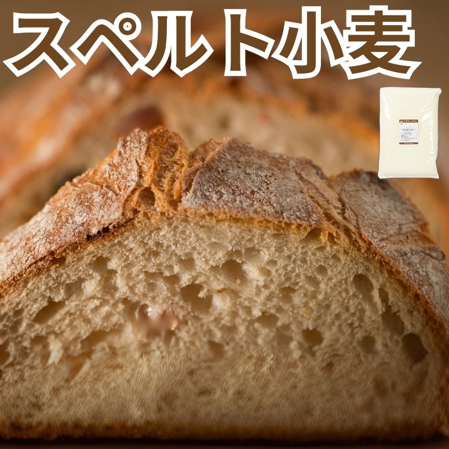 レビュークーポン100円プレゼント! 業務用 国産 小麦粉 スペルト小麦 10kg 横山製粉 北海道産 パン用 菓子用 強力粉 薄力粉 送料無料 スペルト すぺると 硬質小麦 軟質小麦 食パン ケーキ クッキー