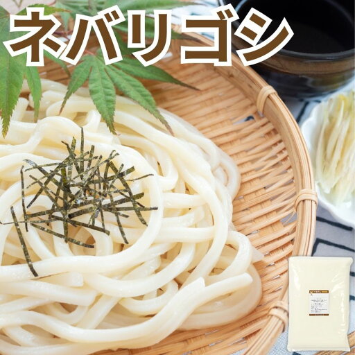 家庭用 国産 小麦粉 ネバリゴシ 5kg 東日本産業 岩手県産 めん用 中力粉 ねばりごし 中間質小麦 麺 うどん 手作り 家庭用 国産 小麦粉 ネバリゴシ 5kg 東日本産業 岩手県産 めん用 中力粉 ねばりごし 中間質小麦 麺 うどん 手作り