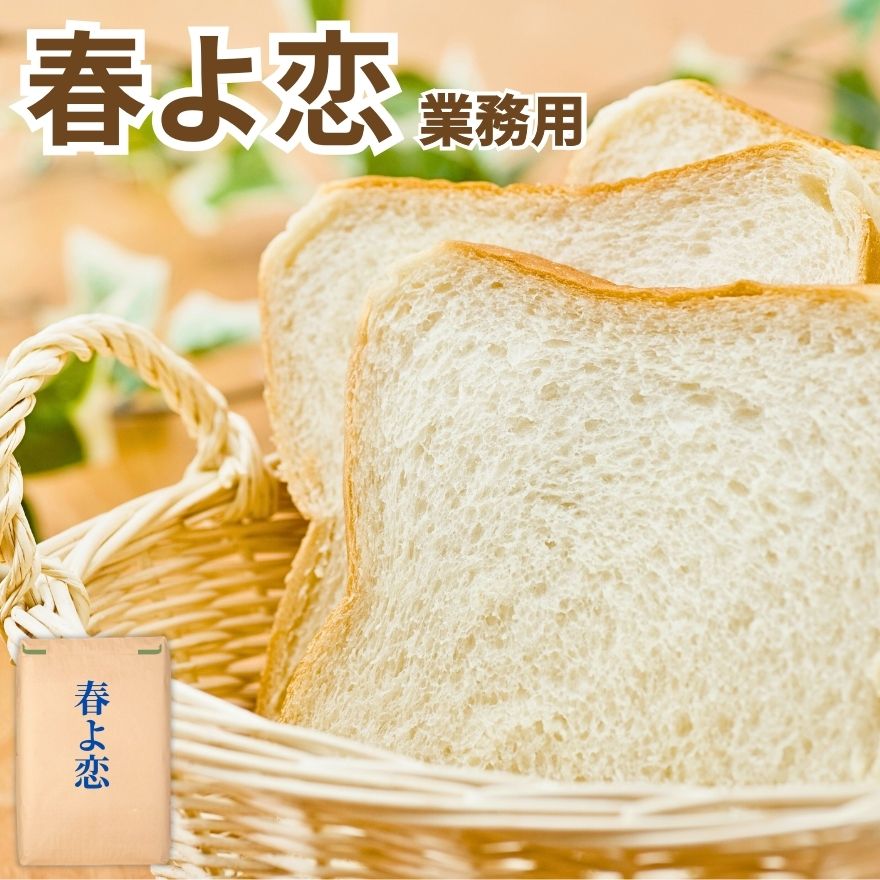レビュークーポン100円プレゼント! 業務用 国産 小麦粉 春よ恋 25kg 東日本産業 北海道産 パン用 強力粉 送料無料 ハルヨコイ 春よ来い ストレート 硬質小麦 食パン 春よ恋 25kg
