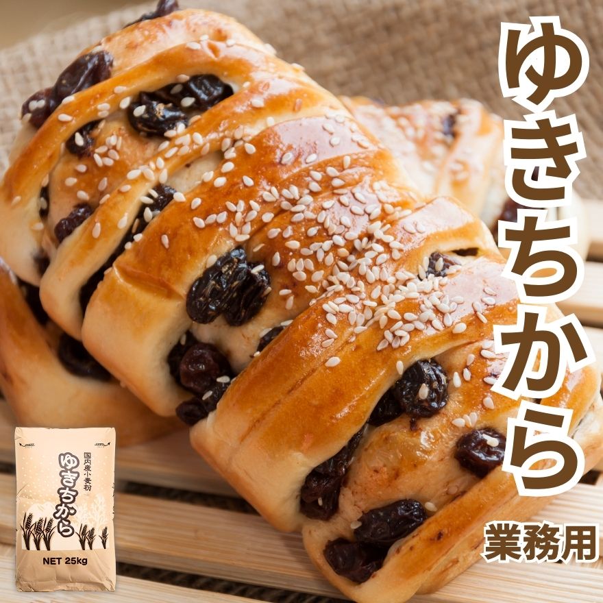 業務用 国産 小麦粉 ゆきちから 25kg 東日本産業 岩手県産 パン用 強力粉 送料無料 ユキチカラ 雪力 硬質小麦 食パン