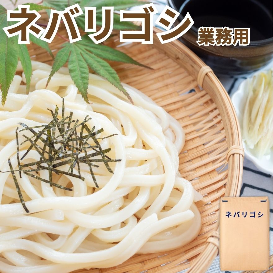 業務用 国産 小麦粉 ネバリゴシ 25kg 東日本産業 岩手県産 めん用 中力粉 送料無料 ねばりごし 中間質小麦 麺 うどん