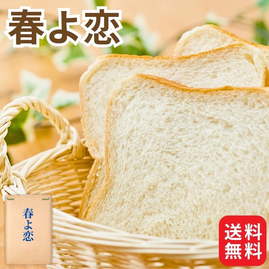 レビュークーポン100円プレゼント! 業務用 国産 小麦粉 春よ恋 25kg 東日本産業 北海道産 パン用 強力..