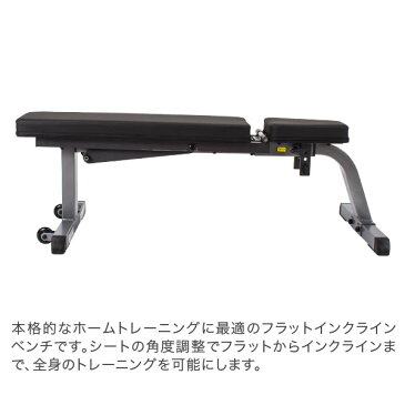 [全品最大15%OFFクーポン]ボディソリッド Body Solid フラットインクラインベンチ GFI21 FLAT/INCLINE BENCH 2