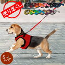 リード（ペット用） 在庫限り Puppia パピア 犬用 ツートーンリード S M L サイズ トゥートーンリード 犬 ペット シンプル 紐 グッズ 丈夫 首輪 PDCF-AL30 TWO TONE LEAD