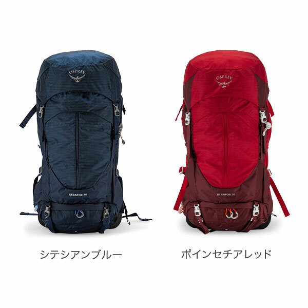 サンプル画像2