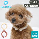 アイスリング 正規品 ペット ICE RING XS SSサイズ スオ クールリング ペット用 XS ...