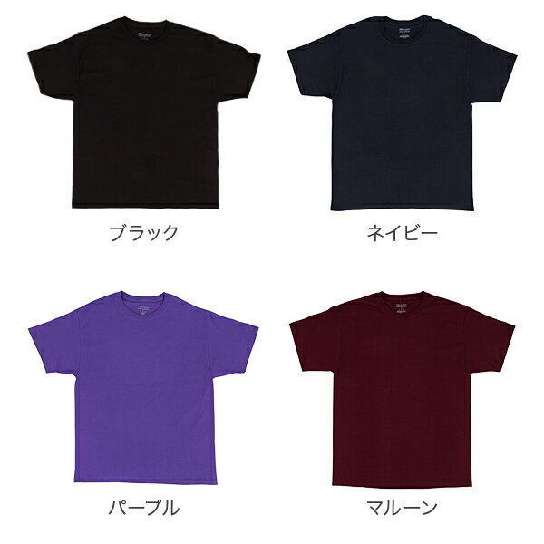 Tシャツ チャンピオン CHAMPION 半袖 6oz メンズ レディース ブラック 黒 ホワイト 白 グレー レッド ブルー イエロー トップス カジュアル ストリート 大きいサイズ 刺繍 シンプル 無地 ワンポイント T425