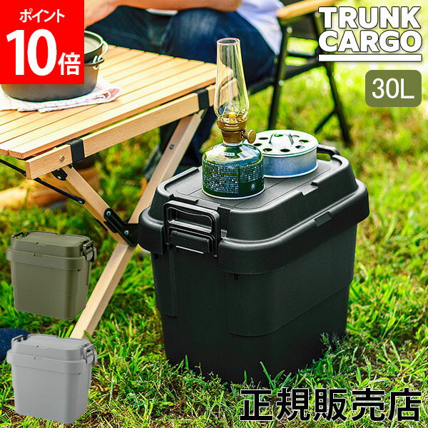 トランクカーゴ RISU 収納ボックス 収納ケース アウトドア 22L TC-20S コンテナボックス フタ付き キャンプ スタッキング コンテナ リス