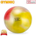 バランスボール ギムニク Gymnic 55cm アルテ55 95.35 マルチカラー ( マーブル ) Gymnic Arte 55 ヨガ 体幹 トレーニング...