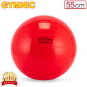 バランスボール ギムニク Gymnic 55cm Gymnic Classic 55 ギムニククラッシック 95.55 レッド 体幹 バランス トレーニング エ...
