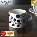 アラビア Arabia カップ 180mL パラティ