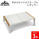 Mt.Sumi マウントスミ 焚き火サイドタフテーブル レギュラー アウトドア キャンプ テーブル 折りたたみ 収納 ステンレス サイドテーブル