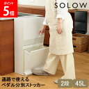 \店内、モール内最安挑戦中/ ソロウ SOLOW ゴミ箱 ごみ箱 ランドリー収納 通路で使えるペダル分別ストッカー 2段 45L ペダル付き GSLW020 GSLW021 ホワイト ブラック スリム 角型 抗菌 防汚 分別 キッチン リビング RISU リス