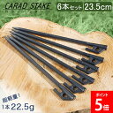 ペグ 23cm 6本セット 極軽量&高強度を実現した炭素繊維強化プラスチック製ペグ CARAD STAKE カラッドステーク カーボン キャンプ テント タープ 設営 アウトドア 信州吉野電機株式会社 父の日