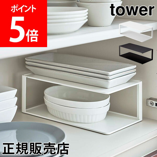 山崎実業 TOWER タワー 長皿収納ラック2段 タワーシリーズ 食器 収納 ディッシュラック 食器棚 食器収納 2段 長皿 食器ラック 皿立て 長角皿 魚皿 グラタン皿 和食器 皿スタンド キッチン収納 おしゃれ ホワイト ブラック 5641 5642 モノトーンのサムネイル