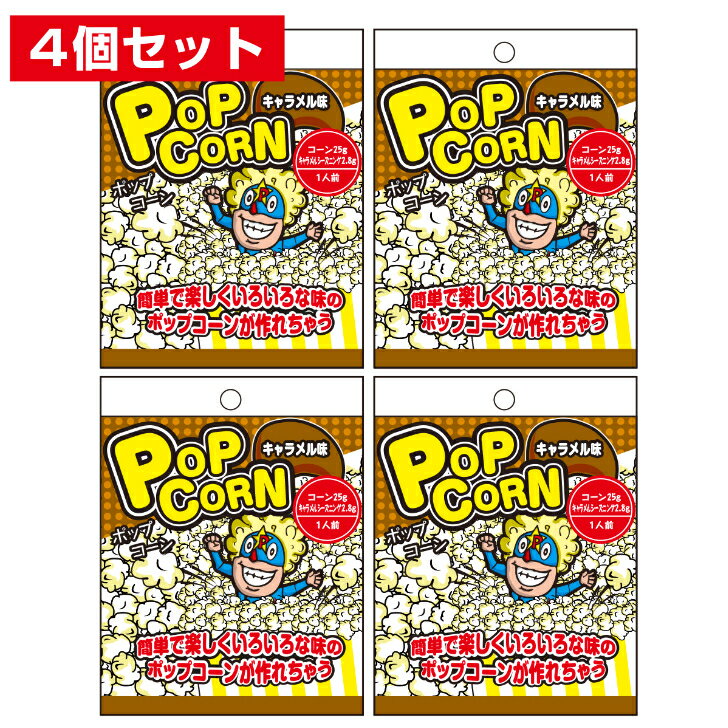 ポップコーン キャラメル味 4個セット フレーバー 美味しい ポップコーンマシーン ポップコーンメーカー シャカシャカ 味付け パウダー 唐揚げ ポテト ポテトフライ ふりかけ 粉 チキン 駄菓子 お菓子