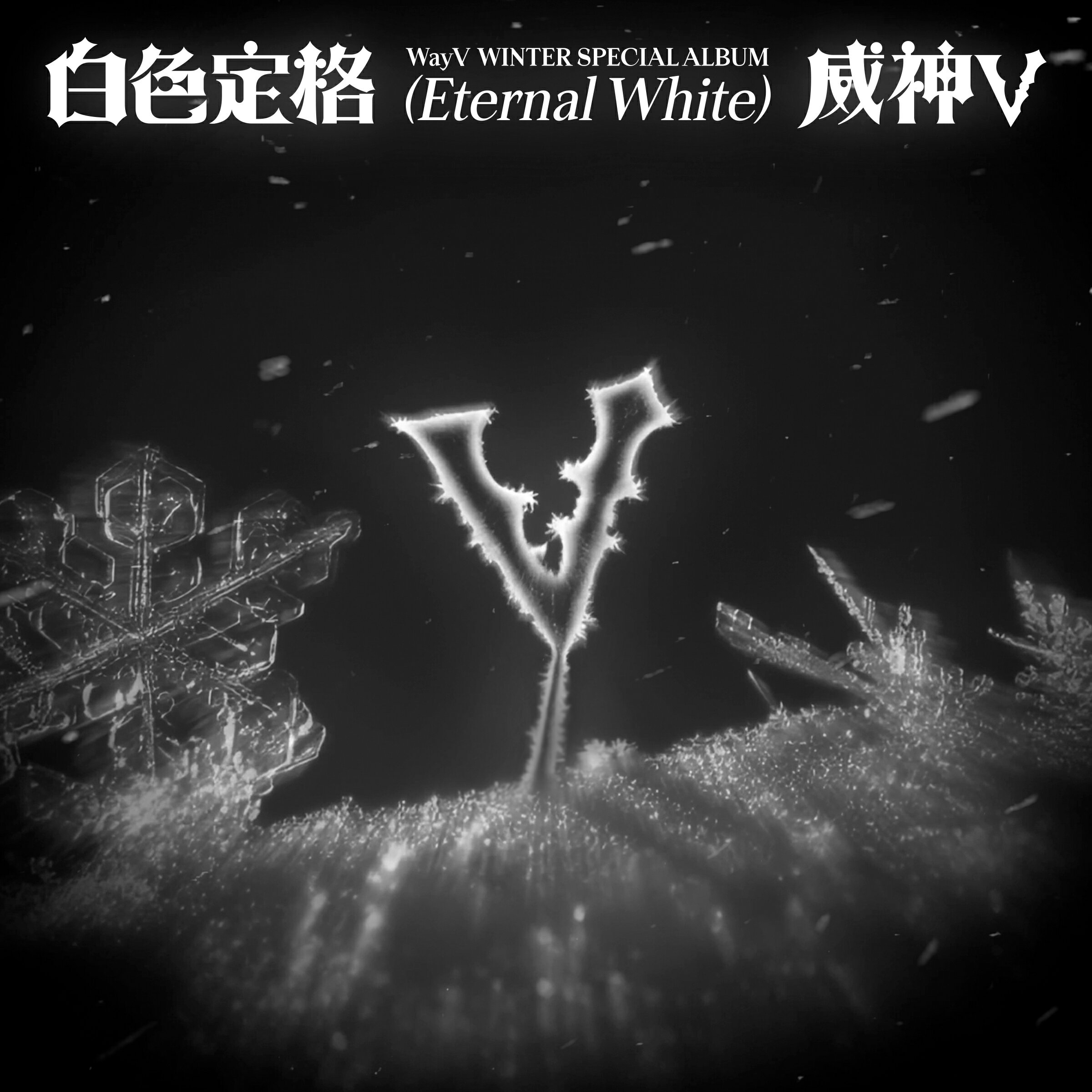 【和訳選択】WAYV - WINTER SPECIAL ALBUM [白色定格 (ETERNAL WHITE)] (SMINI VER.)(PHOTO BOOK VER.) (PACKAGE VER.)のサムネイル