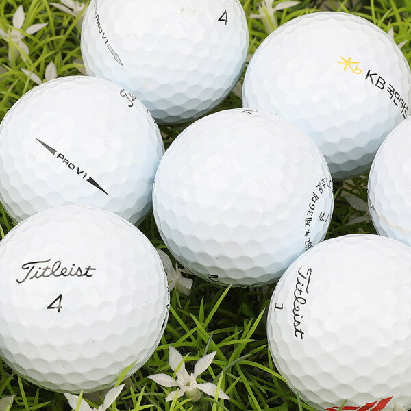 タイトリストA級ProV1/V1x混合10個/中古ゴルフボール ローストボール