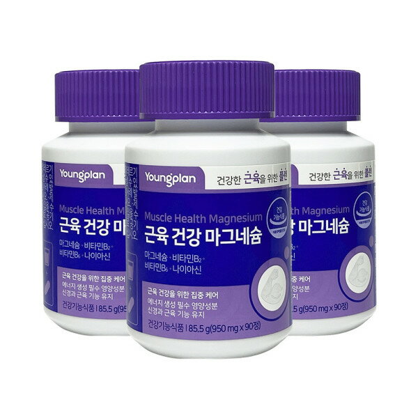 ヨンジン薬品 ヤングプラン 筋肉健康マグネシウム 3通9ヵ月分 マグネシウム栄養剤 3