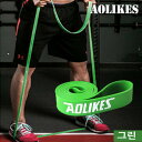 AOLIKES フルアップバンド 全身運動 ホームトレーニングバンド (グリーン)
