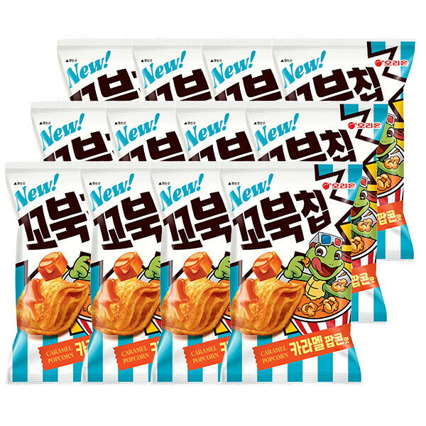 ORION/Kkobuk Chip/72g