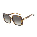 【ANNA SUI】 アンナスイ /High-Class/Sunglasses/AS2207KS/002/Square/Acetate/Woman