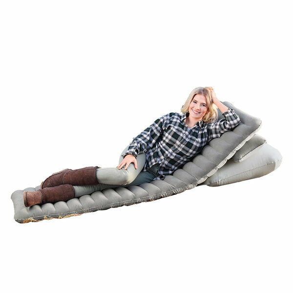 BW 67617 プレミア ドリーミング エアベッド/ベッド/ベッド/マット 浮き輪