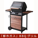 【メーカー直送品/代金引換不可】【都市ガス】カリフォルニアパ...