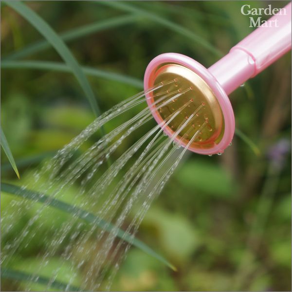 HAWS �ۡ������硼�� �إ�ƥ������� 1.0��åȥ� �֥롼 100-2 Heritage Can