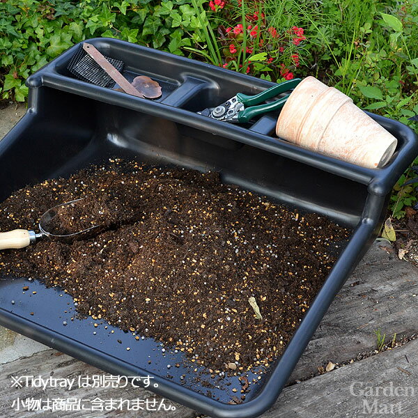 ��� �����ǥ˥��� �����ǥ��ȥ쥤������� ���꡼�� Tidy Tray���Ѥξ�ʪ���� Tidy Tray Shelf Green Garland Products Ltd. �������ɥץ������� (2025ǯ6�������)