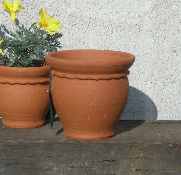 Whichford �����å��ե����� ����ȭ �饦��ɥե��ݥå� ľ��16cm������