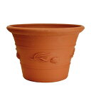 Whichford ウィッチフォード 植木鉢 大型 ダーウィン・チューリップ・ポット 直径38cmサイズ