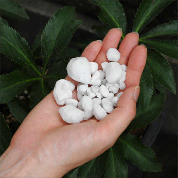 PROTOLEAF �ץ��ȥ꡼�� ������� ȭ���� 5L