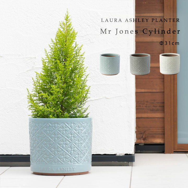 Mr Jones Cylinder　直径31cmサイズ LAURA ASHLEY PLANTERのサムネイル