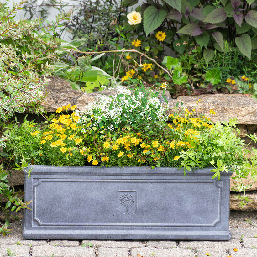 RHS Vintage Troughs RHSトラフ 長方形プランター 50cmx17cmx17cm