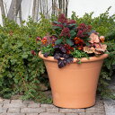 p eRb^ Aؔ ^ Ripon Pot ||bg a43cm Yorkshire Flowerpots [NV[Et[|bg (t̃K[fjOtFA3e)