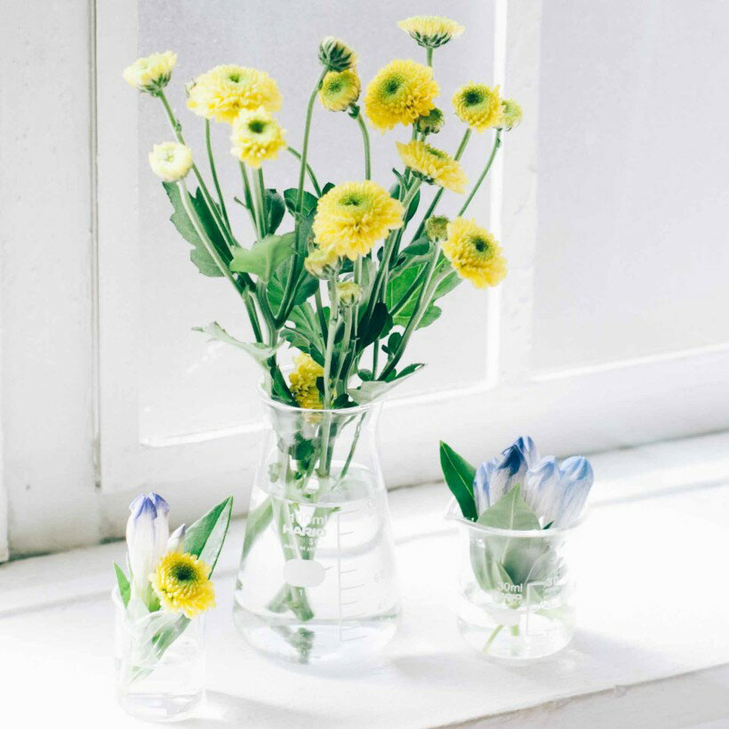 花瓶 フラワーベース 日本製ガラス シンプル 花器 理化学品 HARIO ハリオ コニカルビーカー 200mL